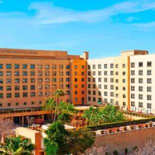 Фотографии гостиницы 
            InterContinental Jordan, an IHG Hotel