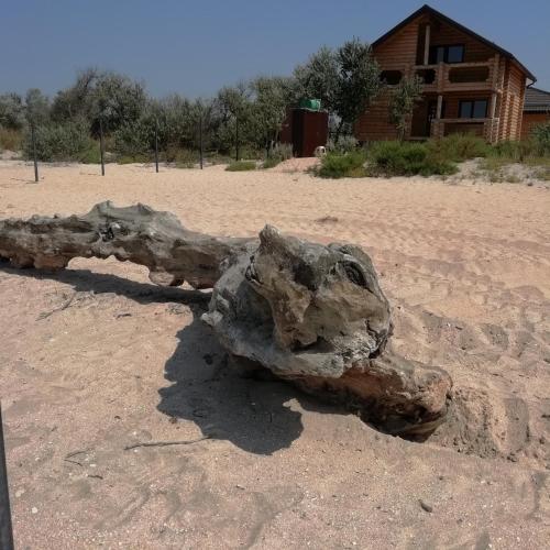 Фотография базы отдыха Вереск