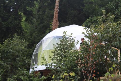 Фотография базы отдыха Ajara Glamping Kokotauri