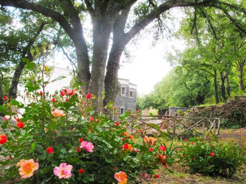 Фотография базы отдыха Boscoscuro