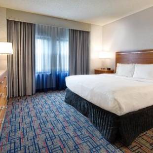 Фотографии гостиницы 
            Embassy Suites Chicago - O'Hare Rosemont