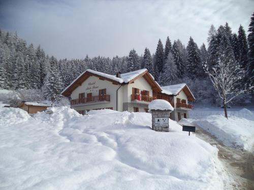 Фотография гостиницы Albergo Chalet Abete Rosso