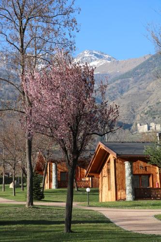 Фотография кемпинга Lazy Bee Camping Village