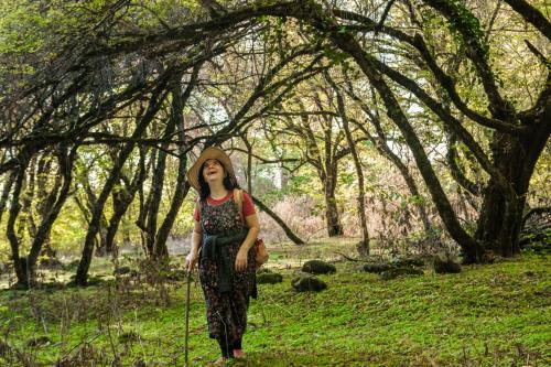 Фотография гостевого дома Ludwig Guesthouse