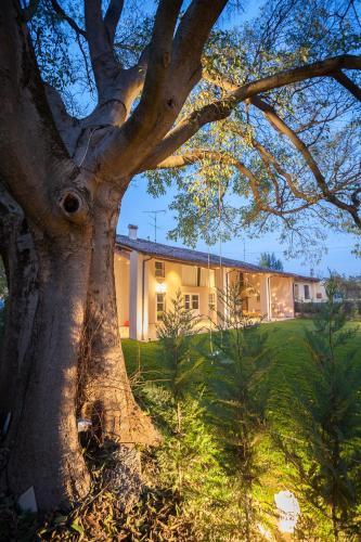 Фотография мини отеля Garda Relais Antica Romelia