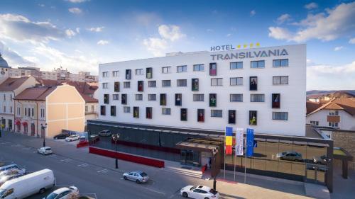 Фотография гостиницы Hotel Transilvania