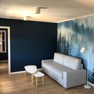 Фотографии апарт отеля 
            Apartament „Blue Forest”