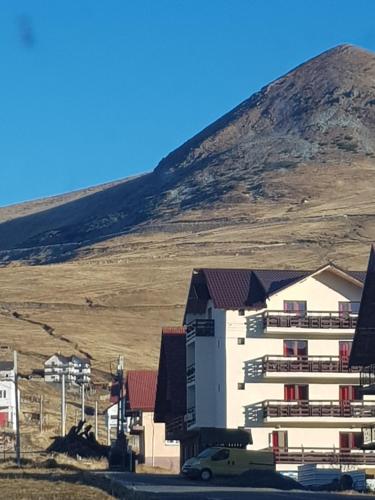 Фотографии гостевого дома 
            Hanul Domnesc Ranca