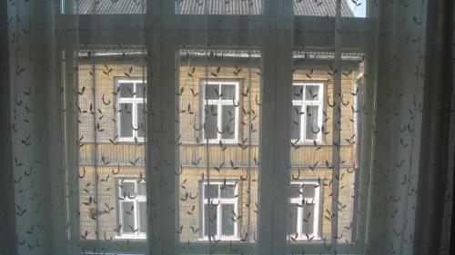 Фотография мини отеля Tähe Maja1