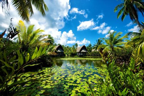 Фотографии гостиницы 
            Maitai Lapita Village Huahine