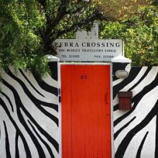 Фотографии хостела 
            Zebra Crossing Backpacker