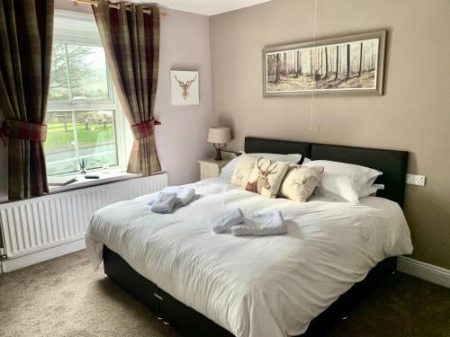 Фотография мини отеля The Clarendon Country Pub with rooms