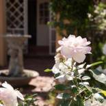 Фотография мини отеля Roses and Pebbles B & B Guest House