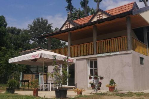 Фотографии гостевого дома 
            Captain's house on the Danube river with pool