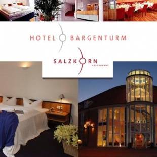 Фотографии гостиницы 
            Hotel Bargenturm Garni