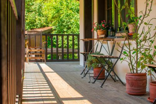 Фотография гостиницы Villa Verbena