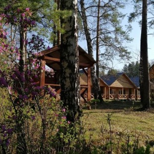 Фотография гостевого дома Усадьба Антоновых