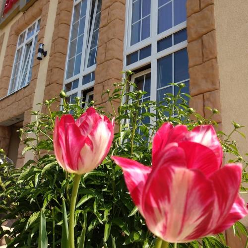 Фотография гостиницы Фараон