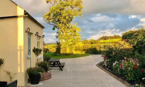 Фотографии гостевого дома 
            Lavender Cottage Ireland