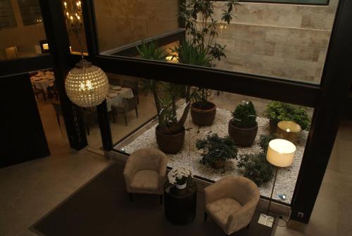 Фотография гостиницы Hotel Paloma