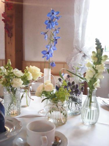 Фотография гостевого дома Gasthof Lindenkrug