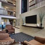 Фотография гостиницы GreenTree Hotel - Houston Hobby Airport