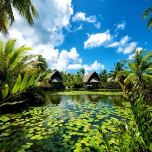 Фотография гостиницы Maitai Lapita Village Huahine