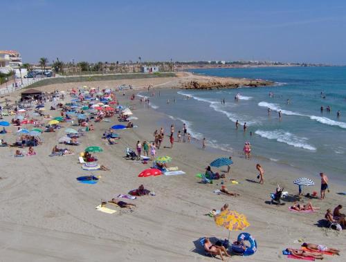 Фотографии гостевого дома 
            Apto, minusválido Oasis beach la zenia