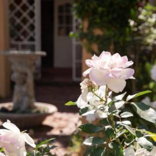 Фотографии мини отеля 
            Roses and Pebbles B & B Guest House