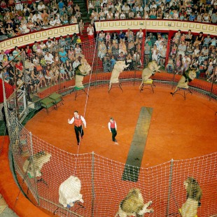 Фотография Одесский государственный цирк