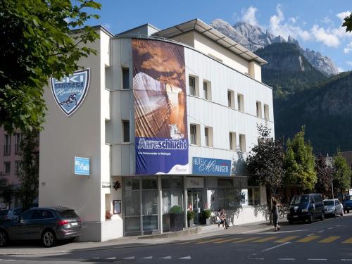 Фотография гостиницы Hotel Meiringen