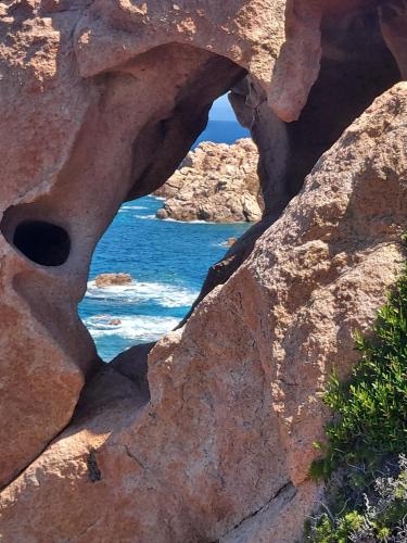 Фотография гостевого дома Villa Alessandra