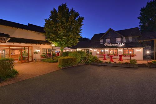 Фотография гостиницы Hotel Pfeffermühle