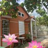 Фотография мини отеля Nam Thanh Homestay