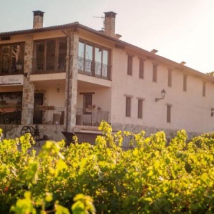 Фотография гостевого дома Casa Rural en Bodega. La posada de Vitis