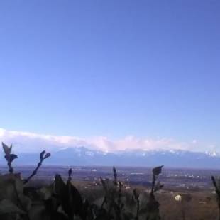 Фотографии гостевого дома
Blueberry Rooms