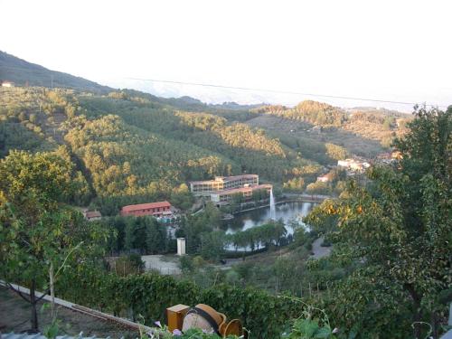 Фотография гостиницы Hotel Lago Verde