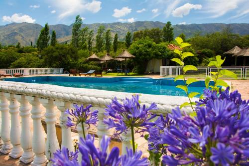 Фотографии гостиницы 
            El Cortijo Apart - Hotel & Spa