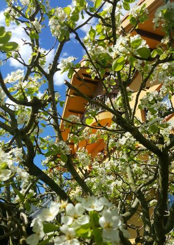 Фотография гостевого дома Posada Las Garzas