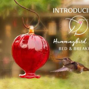 Фотографии мини отеля 
            Hummingbird Haven B&B