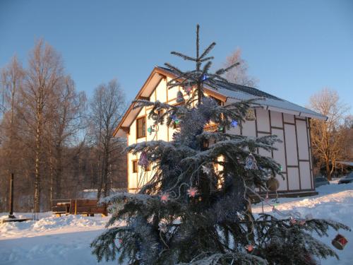 Фотография гостевого дома Дом для отдыха