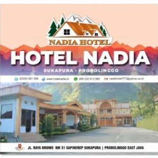 Фотография гостиницы Hotel Nadia Bromo