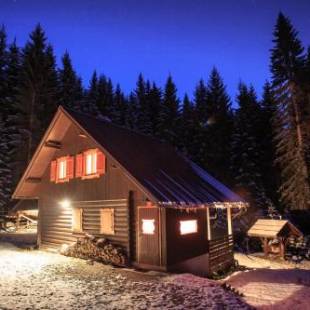 Фотографии гостевого дома 
            Chalet Trzinka