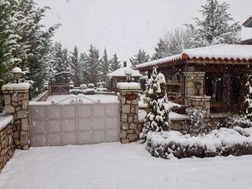 Фотографии гостевого дома 
            villa in Parnassos