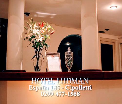 Фотографии гостиницы 
            Hotel Ludman