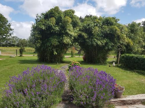 Фотография мини отеля B&B Little Creek