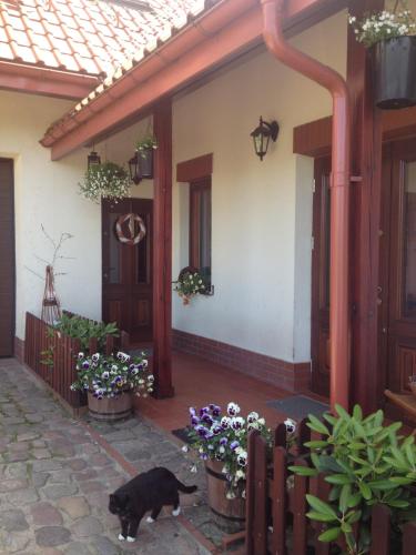 Фотография базы отдыха Zielona parcela