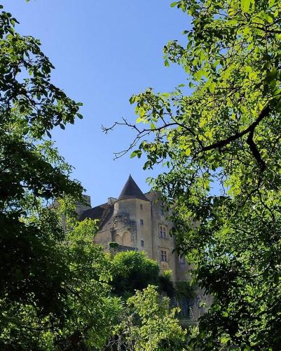 Фотографии гостевого дома 
            Petite maison en pierre au coeur du Périgord noir proche de Sarlat et Rocamadour