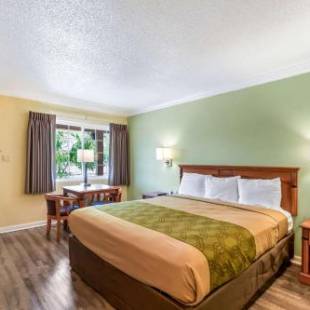 Фотографии гостиницы 
            Econo Lodge Woodland near I-5