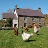 Фотография базы отдыха Nantgwynfaen Organic Farm Wales